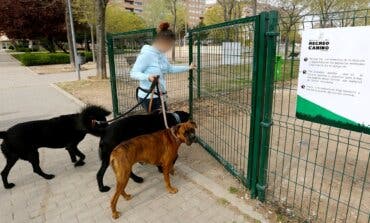 Coslada intensifica la vigilancia sobre las heces caninas sin recoger y perros potencialmente peligrosos