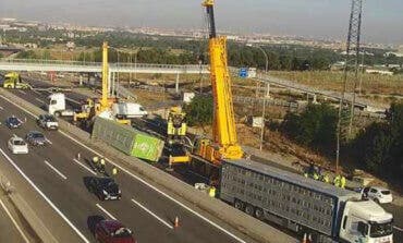 Cortada la A-2 en San Fernando de Henares tras volcar un camión con cerdos