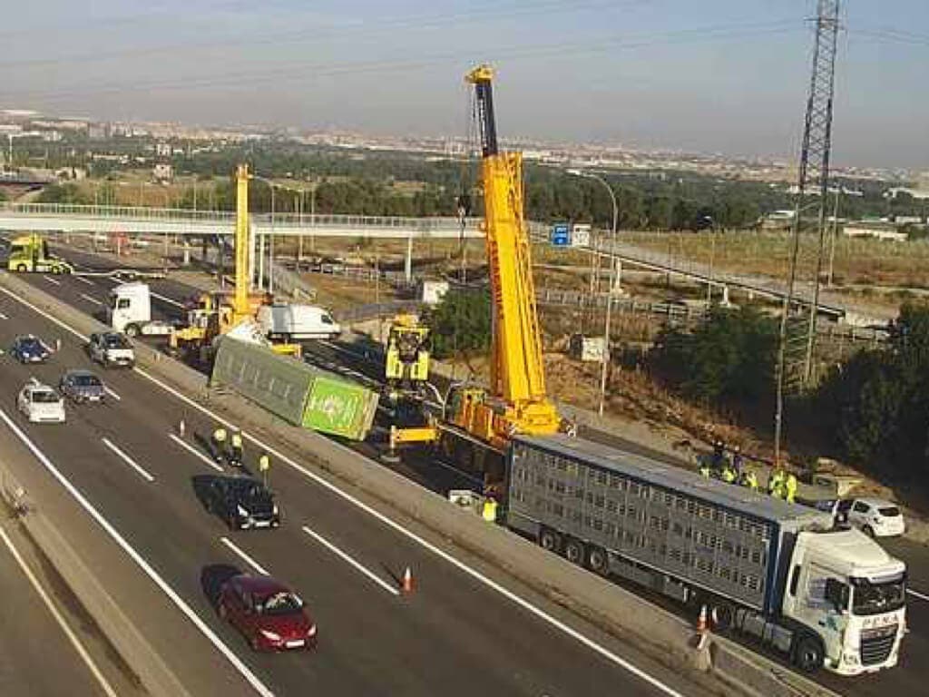 Cortada la A-2 en San Fernando de Henares tras volcar un camión con cerdos