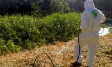 San Fernando de Henares inicia una campaña contra la proliferación de mosquitos y larvas