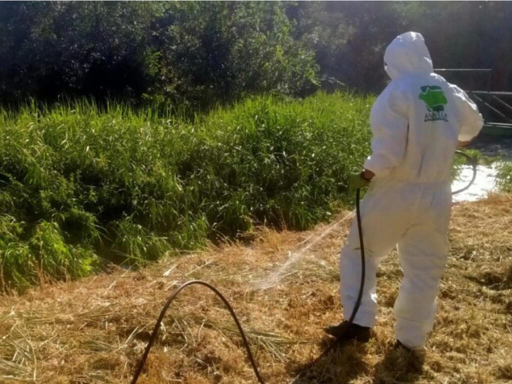 San Fernando de Henares inicia una campaña contra la proliferación de mosquitos y larvas