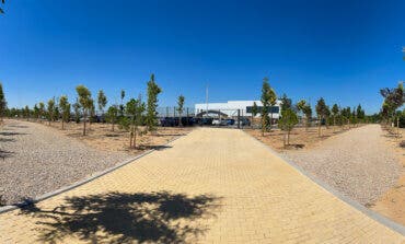 Torrejón de Ardoz planta 420 árboles en Soto del Henares 