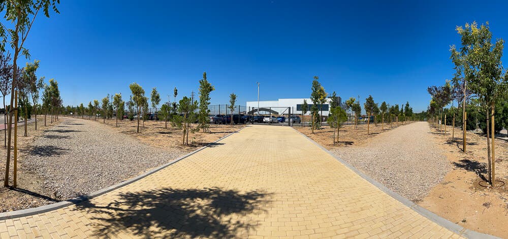 Torrejón de Ardoz planta 420 árboles en Soto del Henares 