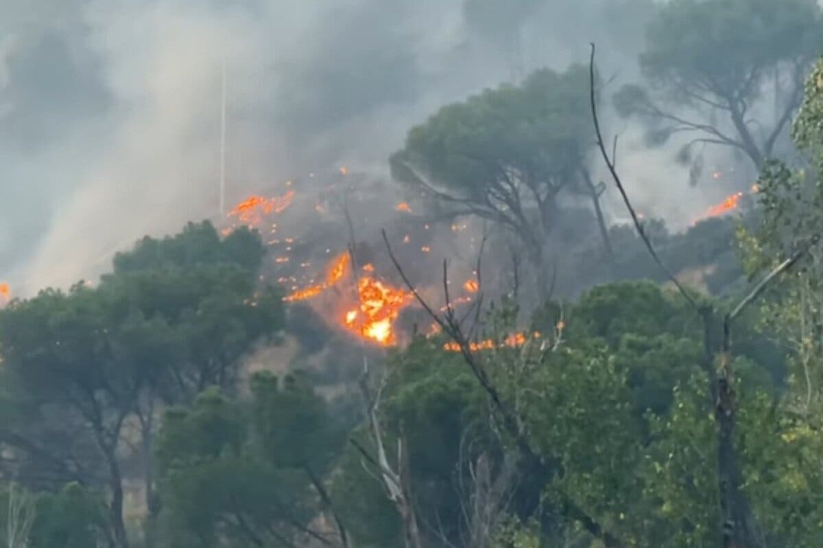 Detenida una nudista por el incendio del pantano de San Juan