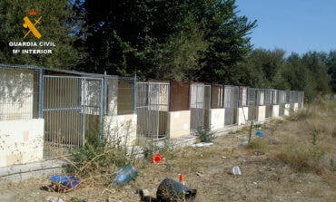 Detenidos por la muerte y maltrato de los perros de una residencia canina de Madrid 