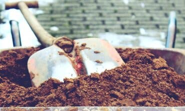 Alcalá de Henares anuncia la plantación de 2.611 nuevos árboles y 6.764 arbustos 
