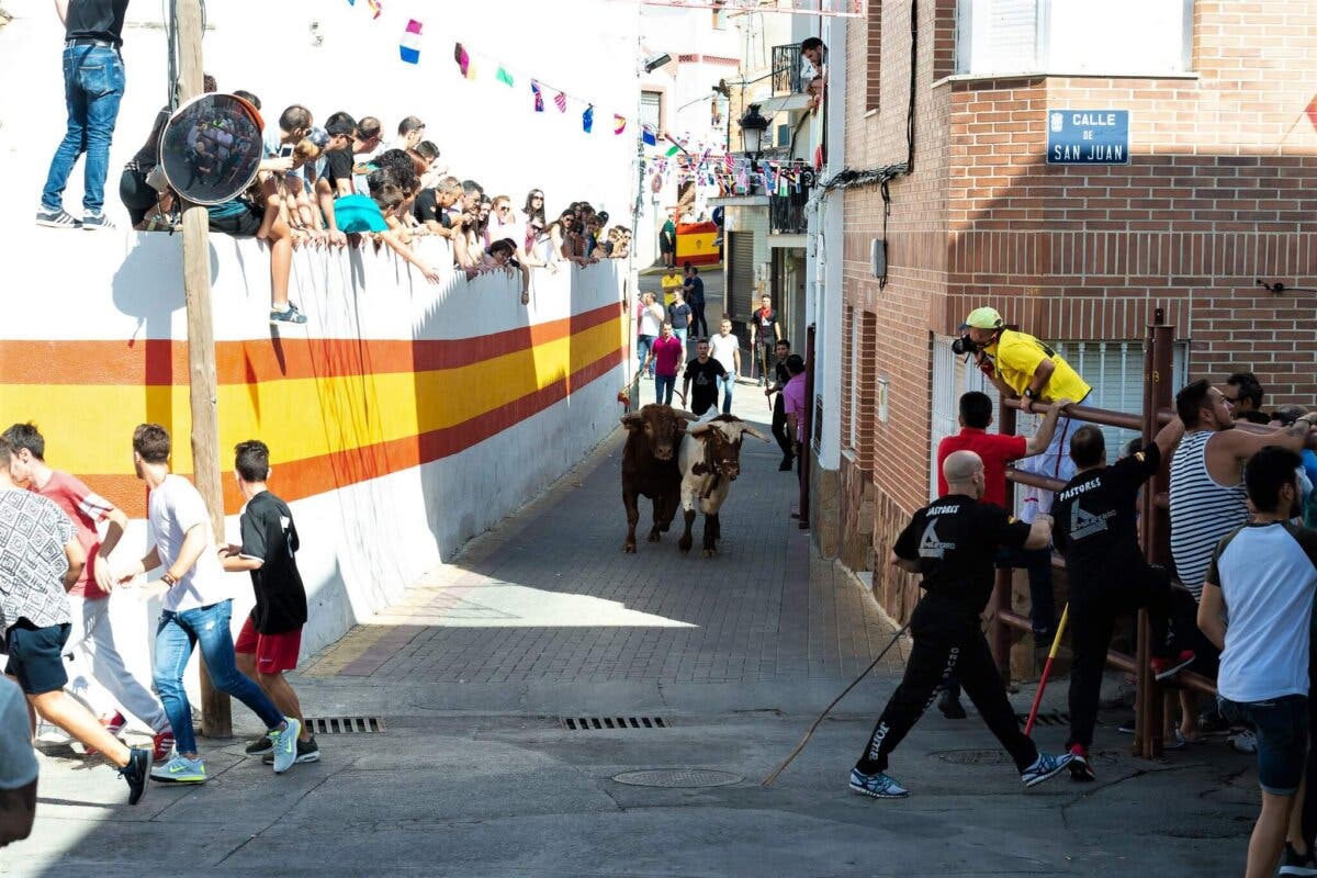Campo Real recupera sus encierros taurinos tras levantarse las restricciones 