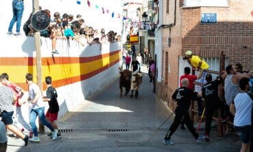 Campo Real recupera sus encierros taurinos tras levantarse las restricciones 