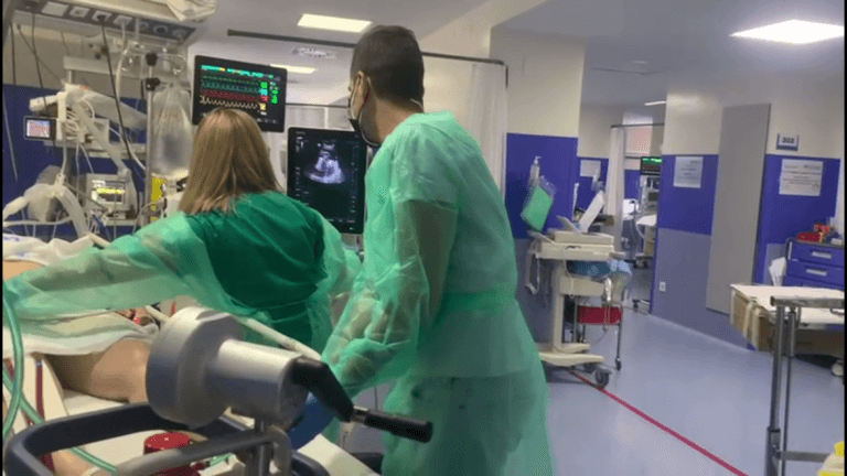 Una embarazada con covid da a luz en Madrid conectada a un pulmón artificial 