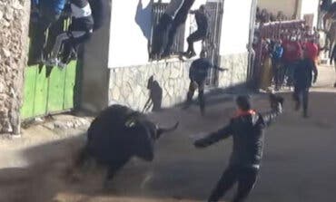 Operado de urgencia un joven tras ser empitonado en el encierro de Mazuecos (Guadalajara)