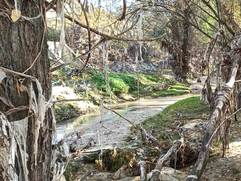 La Fiscalía traslada al juzgado la denuncia por vertidos de aguas fecales y residuos al río Jarama 