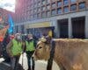 Miles de agricultores y ganaderos toman las calles de Madrid contra el Gobierno 
