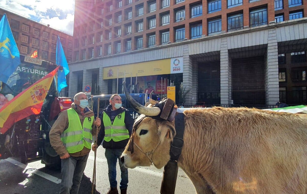Miles de agricultores y ganaderos toman las calles de Madrid contra el Gobierno 