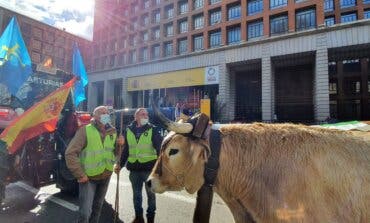 Miles de agricultores y ganaderos toman las calles de Madrid contra el Gobierno 