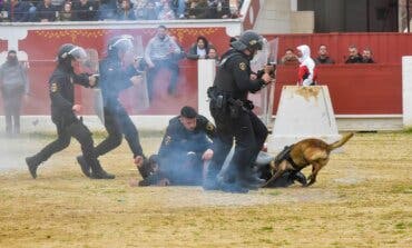 La Policía de Torrejón de Ardoz prepara su exhibición del domingo con 25 perros policías 
