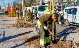 Torrejón de Ardoz ya ha plantado más de 7.000 nuevos árboles de los 10.000 prometidos  