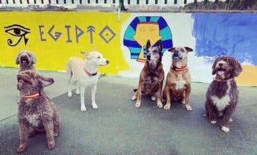 Los perros policía de Coslada visitan a los alumnos del centro de educación especial