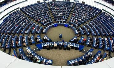 Europa pide investigar los crímenes de ETA como de lesa humanidad con el rechazo del PSOE