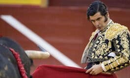 Ya a la venta los abonos para la Feria Taurina de Torrejón de Ardoz