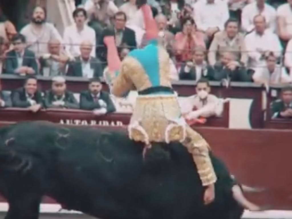 Herido grave el torero Ginés Marín tras ser corneado en Las Ventas 