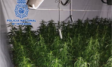 Detenidas 14 personas que okupaban fincas en Guadalajara y Madrid para cultivar marihuana 