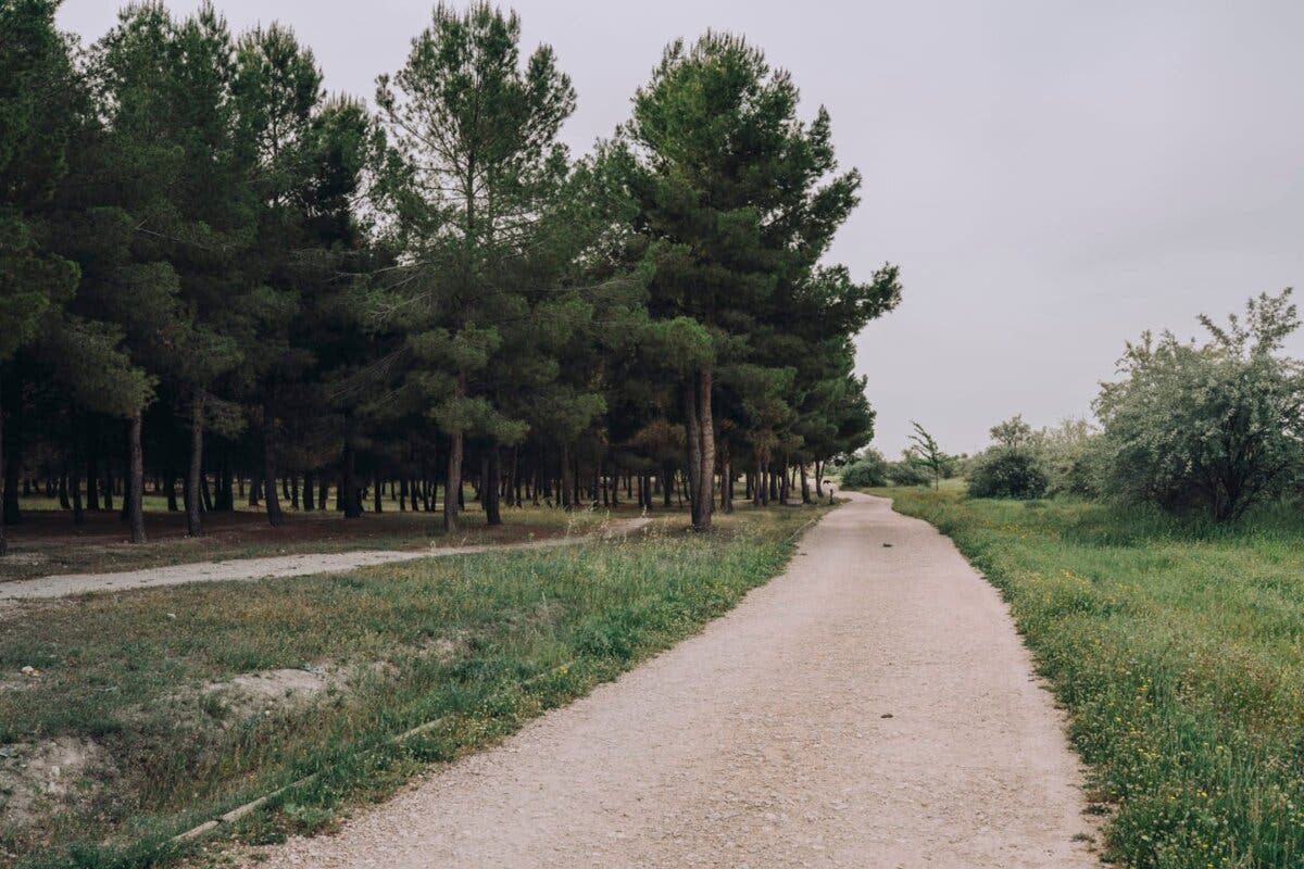 Llegan novedades a los parques de Coslada 