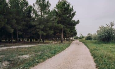 Llegan novedades a los parques de Coslada 