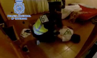 Desmantelan en dos chalets de Villalbilla una plantación de marihuana y una granja de criptomonedas