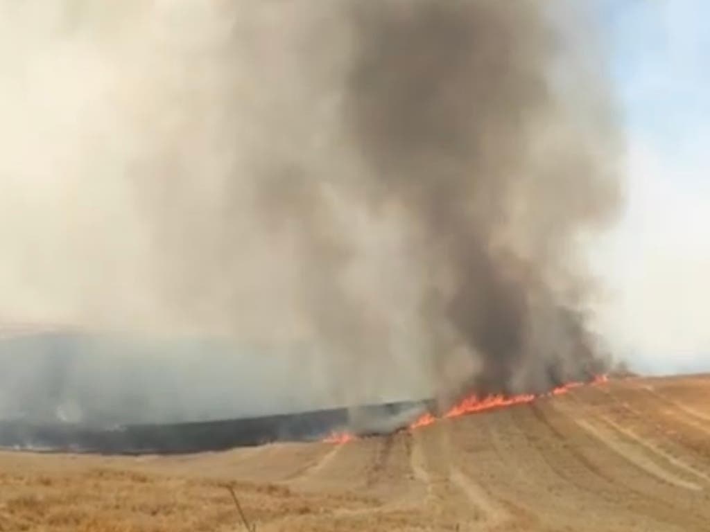 Desciende a nivel 0 un incendio declarado en Yunquera de Henares