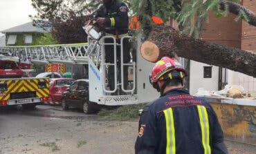 Una tormenta provoca centenares de caídas de árboles e inundaciones en Madrid