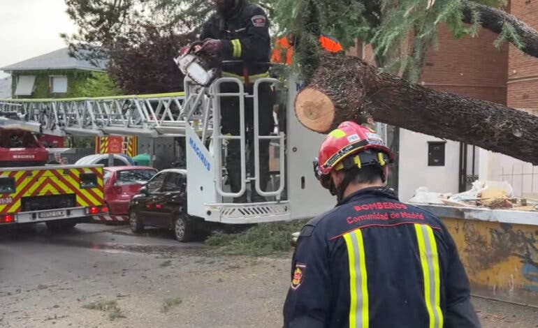 Una tormenta provoca centenares de caídas de árboles e inundaciones en Madrid