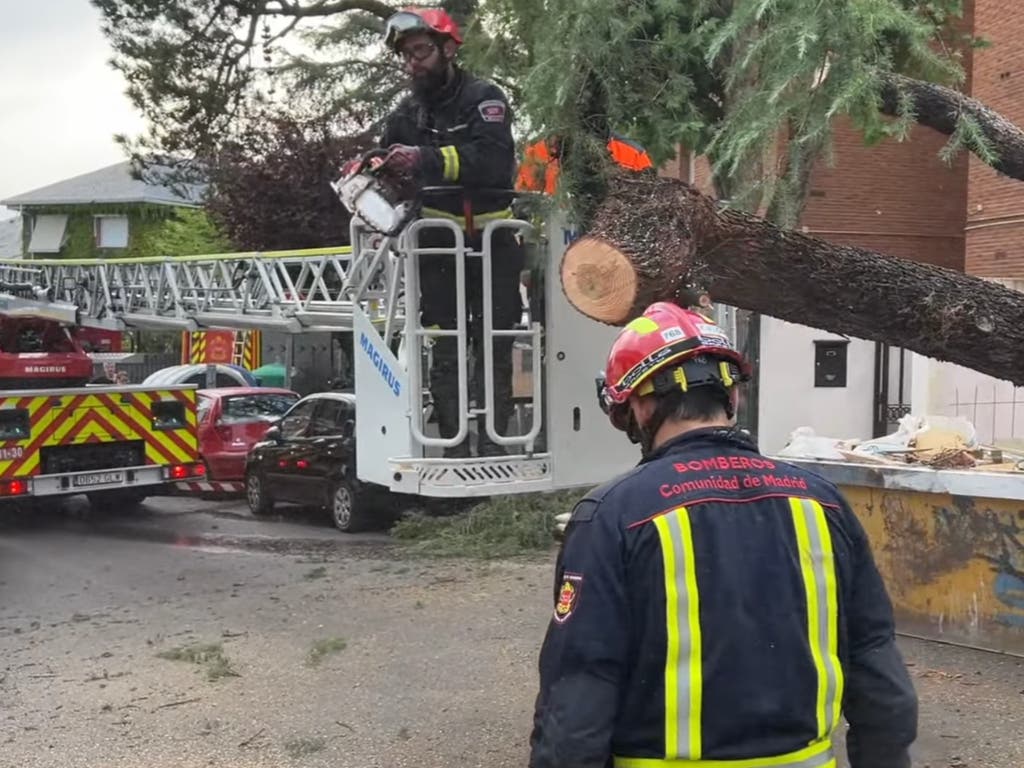 Una tormenta provoca centenares de caídas de árboles e inundaciones en Madrid