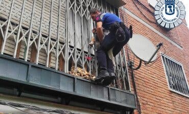 Rescatan a un perro a punto de caer de un segundo piso en Madrid mientras sus dueños estaban de vacaciones