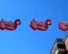 Flotadores flamencos decoran la calle Enmedio de Torrejón de Ardoz este verano