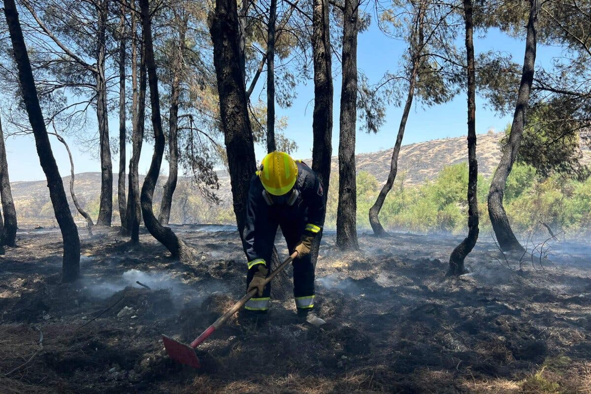 Continúa la extinción del incendio de Aranjuez que ha quemado más de 280 hectáreas 