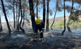 Continúa la extinción del incendio de Aranjuez que ha quemado más de 280 hectáreas 