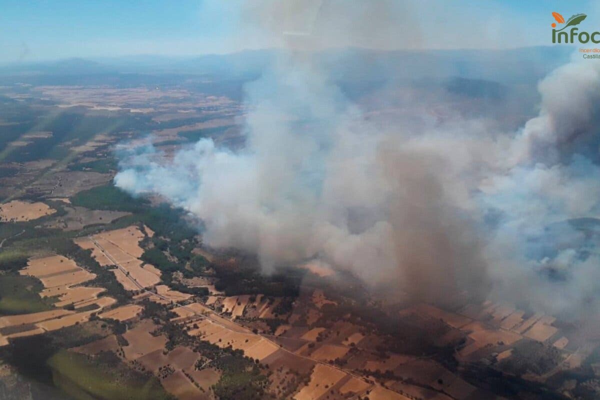 Todo apunta a que el incendio de Guadalajara, que ha arrasado más de 3.000 hectáreas, fue provocado 