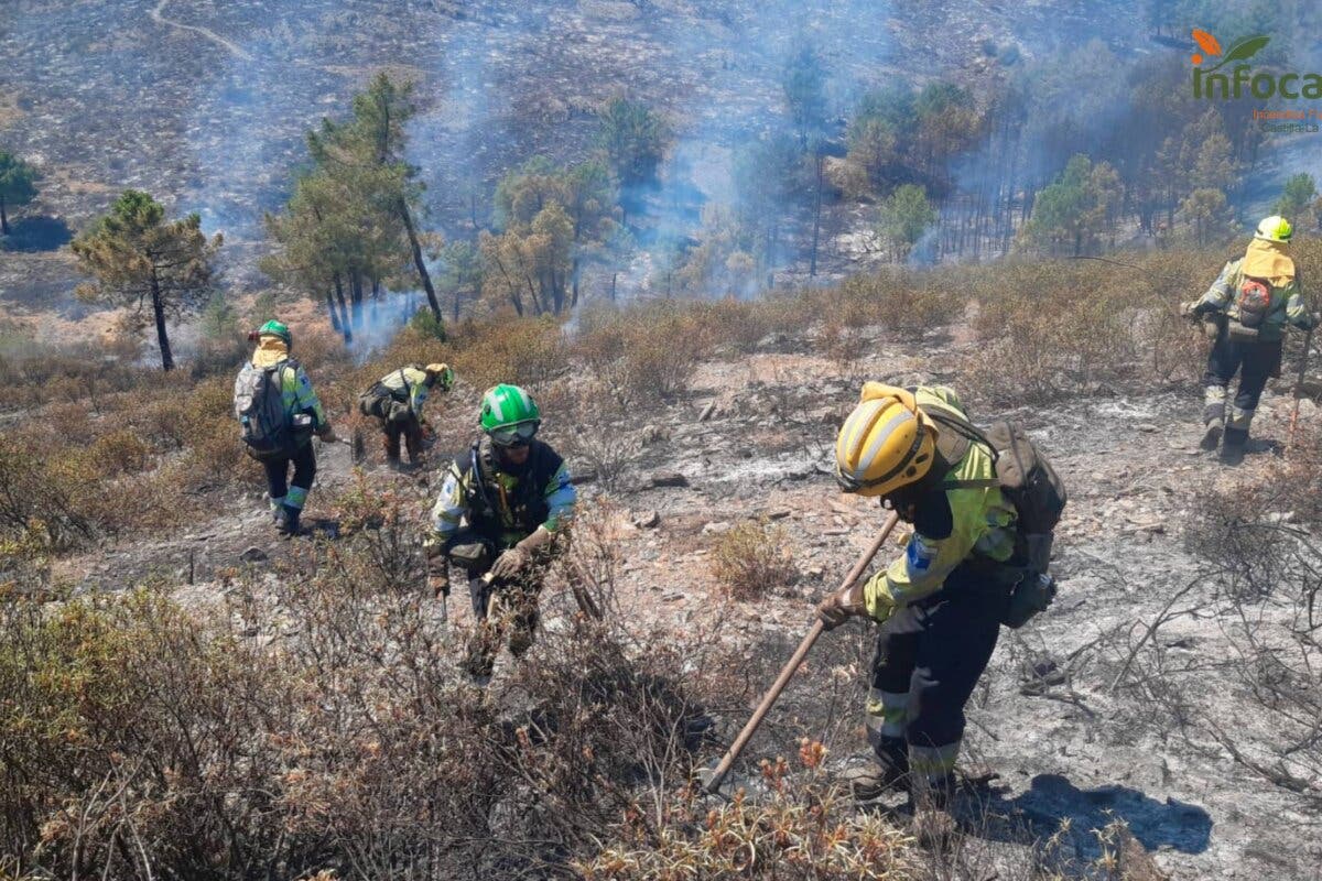 Estabilizado el incendio de Guadalajara que ha arrasado unas 3.000 hectáreas de monte 