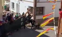 Un hombre es corneado por un toro en Corpa cuando protegía a su hijo
