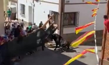 Un hombre es corneado por un toro en Corpa cuando protegía a su hijo