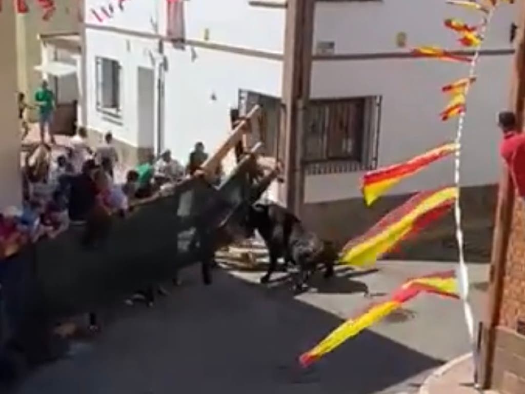 Un hombre es corneado por un toro en Corpa cuando protegía a su hijo