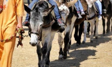 Convocan manifestación en Alcalá de Henares contra la «explotación» animal en el Mercado Cervantino