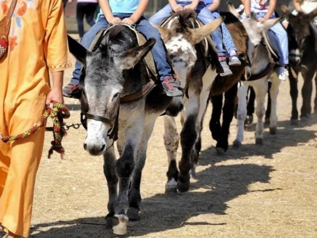 Convocan manifestación en Alcalá de Henares contra la «explotación» animal en el Mercado Cervantino