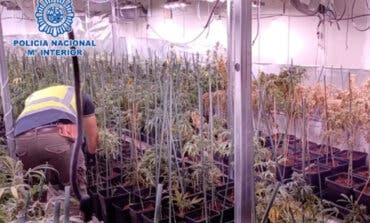 Desmantelan una plantación de marihuana en Alcalá de Henares y detienen a seis personas 