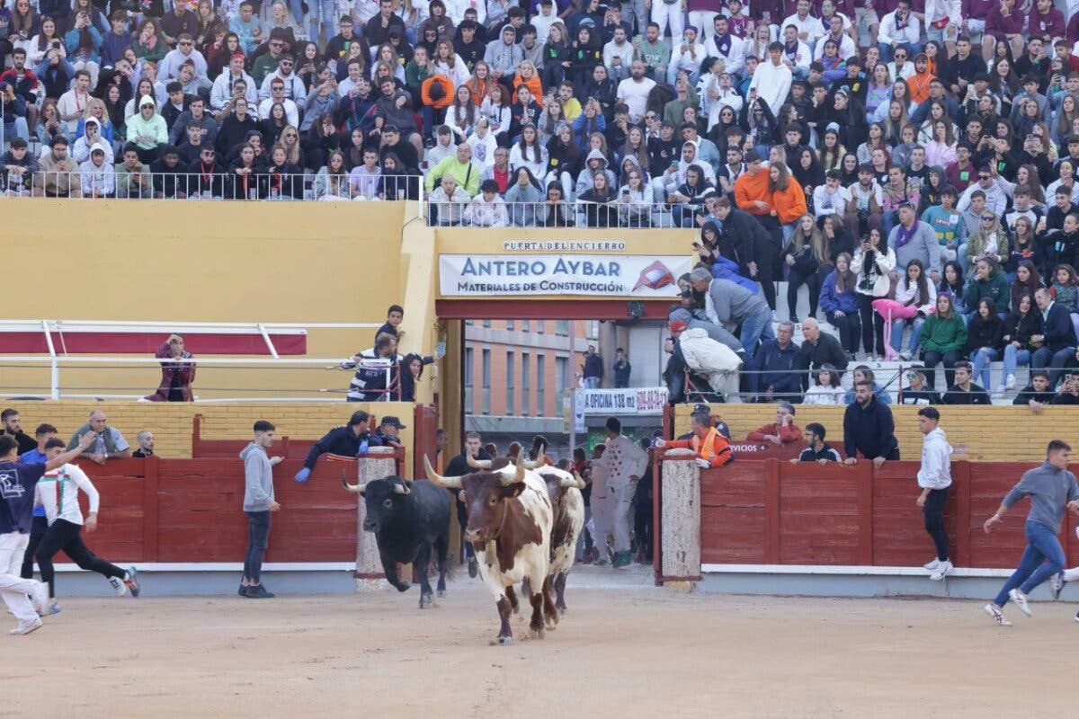 Dos heridos por asta de toro en el último encierro de las Fiestas de Guadalajara