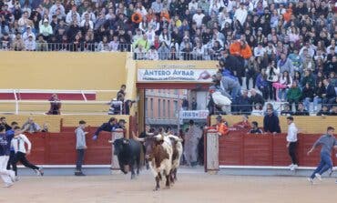 Dos heridos por asta de toro en el último encierro de las Fiestas de Guadalajara
