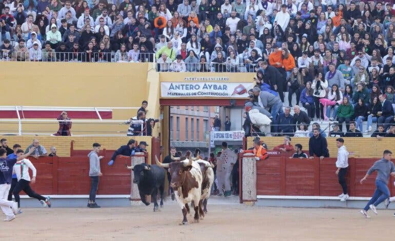 Dos heridos por asta de toro en el último encierro de las Fiestas de Guadalajara