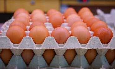 Los alimentos básicos se encarecen en España un 13,8% en un año 