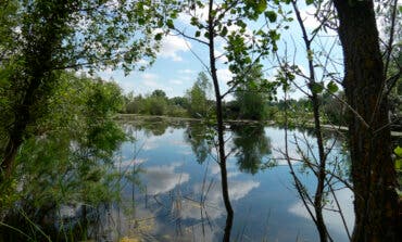 Jarama Park, el singular parque natural que Algete quiere desarrollar con los fondos europeos