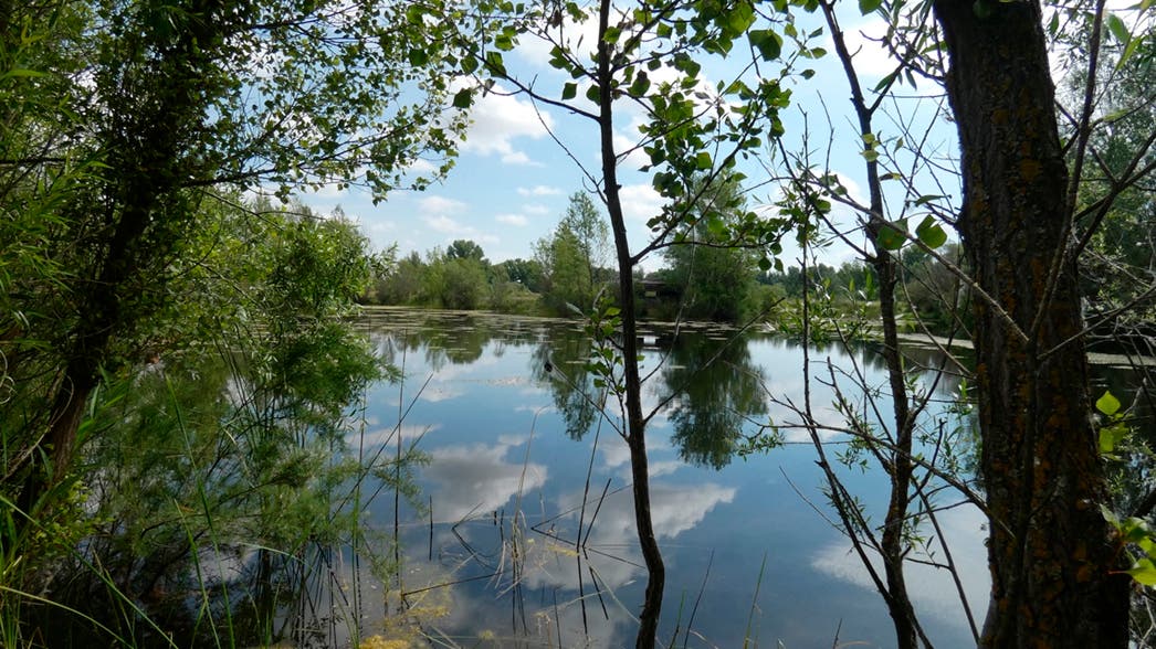 Jarama Park, el singular parque natural que Algete quiere desarrollar con los fondos europeos